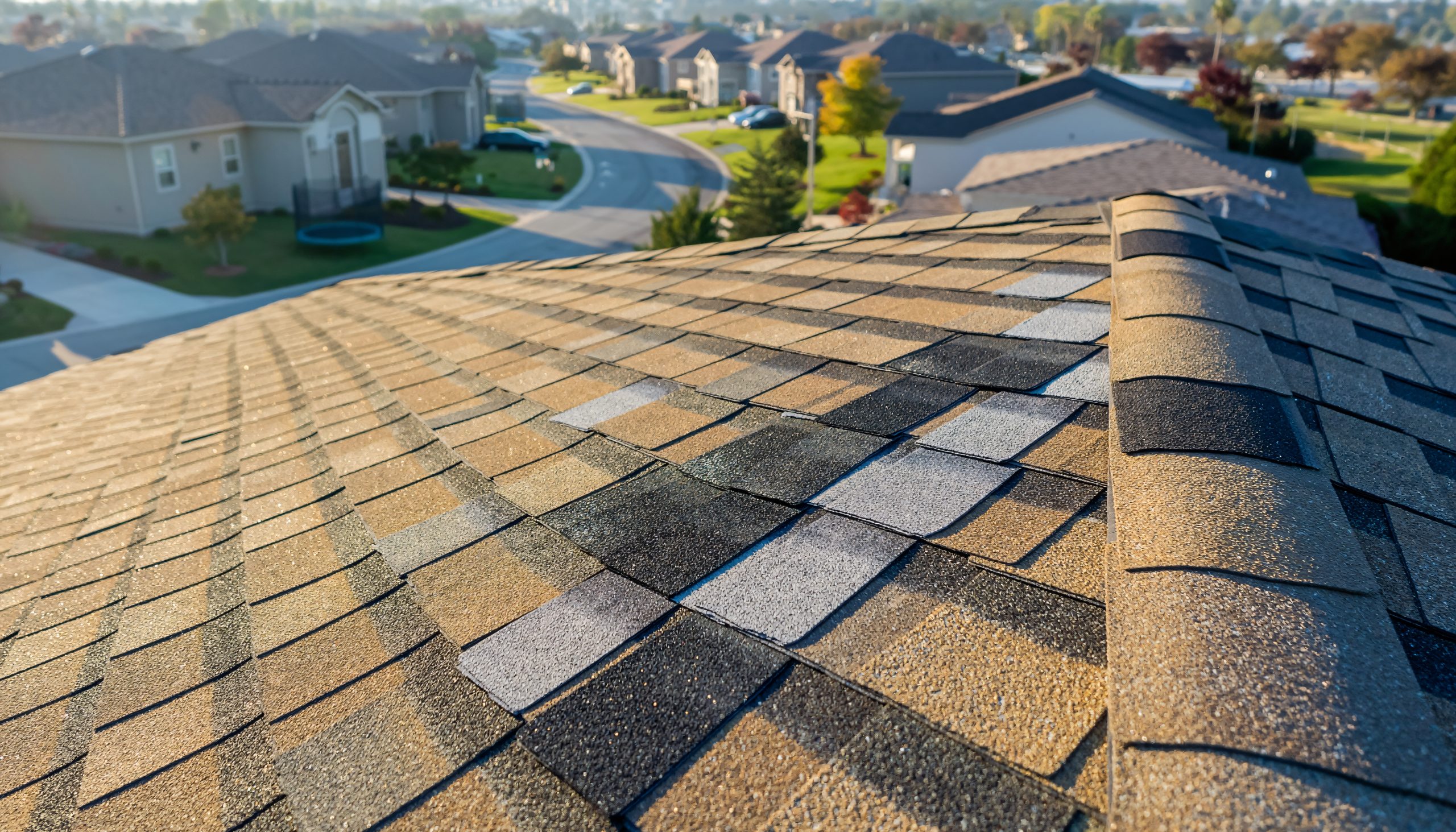 Damaged Roof Shingles